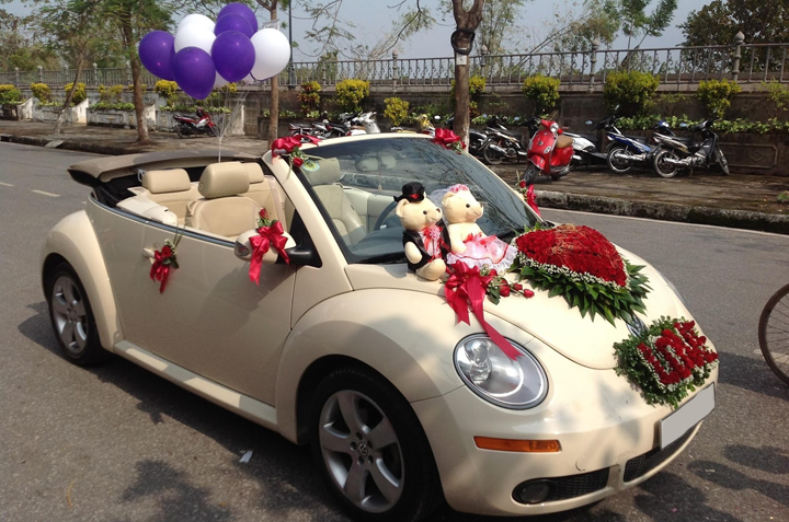 Cho thuê xe Volkswagen Beetle 4 chỗ